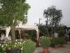 farming-settembre-2011-291